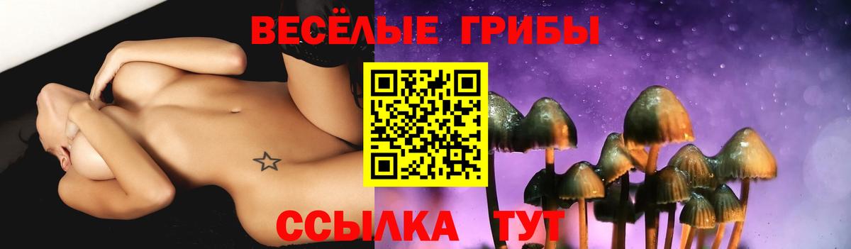 Галлюциногенные грибы мицелий Старая Купавна